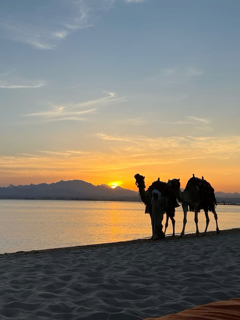 Pacchetto Temptation